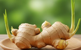 Bình gừng nảy lộc dễ làm nhưng là 'phép màu' phong thủy mang lại may mắn, xua đuổi vận xui cho nhà ở và nơi làm việc