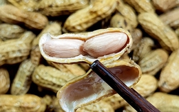 Luộc lạc chỉ cho muối chưa đủ, làm cách này lạc sẽ ngọt mềm, không thâm đen