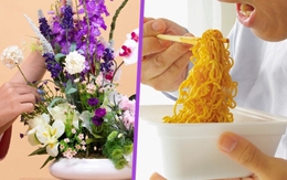Cụ ông 'tốt nghiệp hôn nhân' để tự do, sống như sinh viên, ăn mì mỗi ngày