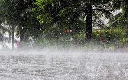 Dự báo những khu vực mưa lớn hôm nay và 10 ngày tới