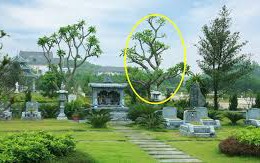 Những nơi nhiều năng lượng xấu trong tháng 'cô hồn' bạn cần biết để tránh càng xa càng tốt