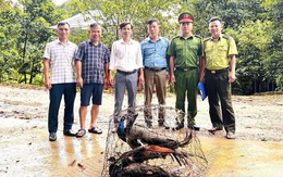 Người dân giao nộp nhiều cá thể động vật quý hiếm