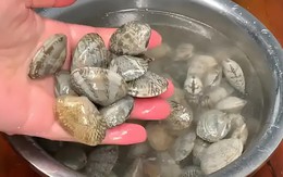 Dùng dầu ăn và muối để ngâm ngao là sai lầm: Một ngư dân chỉ mẹo giúp ngao nhả cát ra nhanh chóng và sạch sẽ