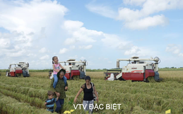 VTV Đặc biệt với câu chuyện 'Hạt giống hạnh phúc' từ đất nước Cuba