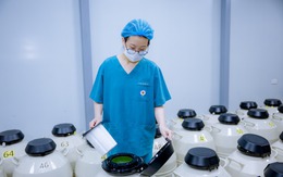 Mẹ đưa con gái 9X đi trữ trứng: Sợ hiếm muộn hay xu hướng của phụ nữ hiện đại ngại lập gia đình?
