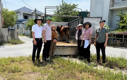 Hỗ trợ sinh kế cho người thuộc dự án đấu tranh phòng, chống mua bán người và nô lệ thời hiện đại