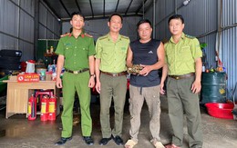 Hi hữu rùa núi vàng quý hiếm bò 'lạc' vào nhà dân ở Hà Tĩnh
