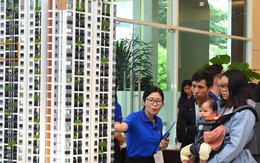 Căn hộ 2,5 tỷ biến giấc mơ ‘lướt sóng’ của người phụ nữ Đồng Nai thành cú lỗ 650 triệu