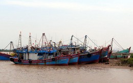 Quảng Ninh, Ninh Bình, Thanh Hóa, Hà Tĩnh khẩn trương ứng phó với bão số 5
