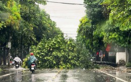 Bão số 5 áp sát đất liền, sức gió giật cấp 16 gây sóng cao đến 8m