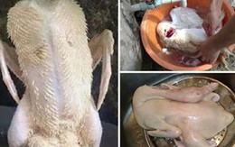 Chỉ cần dùng thứ này thả vào chậu nước, đảm bảo bạn có thể làm sạch lông măng vịt rất nhanh, vịt hết sạch mùi hôi
