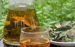 6 loại trà thảo mộc tốt cho người bệnh gan nhiễm mỡ không do rượu