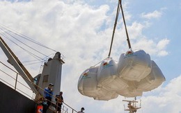 Giá gạo xuất khẩu của Việt Nam tăng lên mức gần cao nhất trong ba tháng