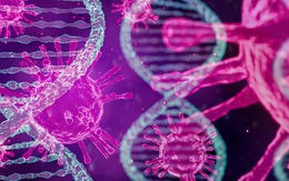 Phát hiện mới về virus bạch cầu và tiềm năng điều trị HIV