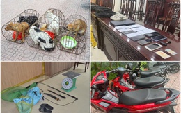 Triệt phá 'lò' trộm 2 tấn chó ở Nghệ An, bắt 8 đối tượng có hung khí