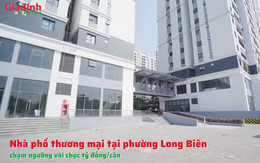 Nhà phố thương mại tại phường Long Biên chạm ngưỡng vài chục tỷ đồng/căn