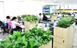 Lợi ích tuyệt vời của việc đặt cây trong văn phòng