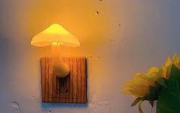 Cách giúp không gian sống tràn đầy dương khí trong tháng 'cô hồn' - tháng 7 âm sắp tới, giúp cả nhà bình an, may mắn