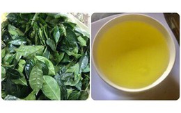 Uống nước chè xanh vào buổi sáng có tác dụng gì?