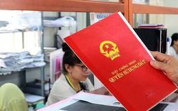 Các trường hợp không được cấp sổ đỏ theo Luật Đất đai mới