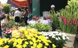 Những loại hoa nên chọn để cúng Rằm tháng 7 đem đến phúc khí, tài lộc