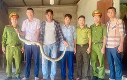 Người dân Hà Tĩnh giao nộp nhiều động vật quý hiếm