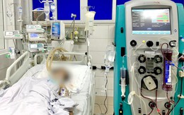Người phụ nữ ở Phú Thọ co giật toàn thân, nguy kịch sau khi bị côn trùng đốt ở sau gáy