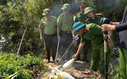Hà Tĩnh: Ngăn chặn, tiêu hủy nhiều dụng cụ bẫy chim trời