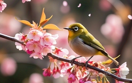 Số cuối ngày sinh Âm lịch của người hay gặp may mắn bất ngờ