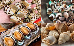 Mẹo bảo quản ốc sống từ 1 đến 3 ngày không chết, không gầy mà vẫn tươi ngon