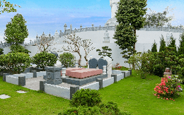 Đây là lý do bạn nên biết những cây không nên trồng ở mộ