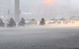 Khu vực nào của Việt Nam sẽ bị ảnh hưởng do bão Ragasa?