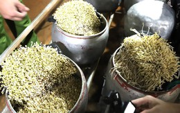 Phát hiện cơ sở sản xuất gần 5 tạ giá đỗ ngâm chất cấm