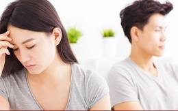 Chồng lười việc nhà nhưng người yêu cũ nhờ gì cũng làm, mèo ốm chị ấy cũng gọi
