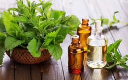 Sử dụng mùi hương trong phong thủy vào các vị trí này trong nhà ở để hút vận khí, tài lộc  