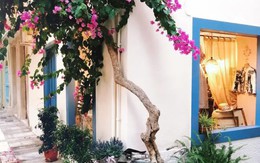 Đại kỵ để những đồ vật này trước cửa nhà dễ tán gia bại sản