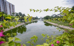 Tin sáng 27/9: Bảo hiểm xã hội Việt Nam cảnh báo; Vì sao một số đoạn sông Tô Lịch nước bất ngờ chuyển màu đen?