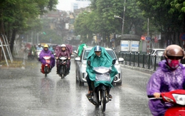 Bắc Bộ và miền Đông Nam Bộ có mưa rào và dông rải rác, cục bộ có mưa to