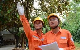 Lịch cúp điện Cà Mau (Bạc Liêu cũ) từ ngày 10-14/9/2025: Nhiều khu dân cư nằm trong diện cúp điện liên tục hơn 10 tiếng/ngày