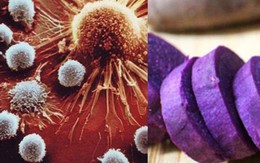 Loại củ được ví như 'thuốc bổ mùa đông', người Việt nên ăn để hỗ trợ ngăn ngừa tế bào ung thư