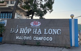 Bắt khẩn cấp Tổng Giám đốc Công ty CP Đồ hộp Hạ Long