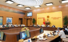 UBTVQH xem xét quy định số lượng, cơ cấu các ngạch Kiểm sát viên