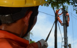 Lịch cúp điện Đồng Tháp (Tiền Giang cũ) từ ngày 12 - 18/1/2026: Có nơi bị mất điện 13 tiếng/ngày