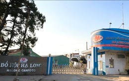 Tin sáng 12/1: 10 giờ phẫu thuật giải cứu người đàn ông 'cong như con tôm', 7 năm cúi mặt xuống đất; nhà máy Đồ hộp Hạ Long tạm dừng hoạt động từ hôm nay