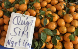 Quýt sim ngọt lịm giá rẻ đổ bộ chợ Việt, người tiêu dùng thi nhau đặt số lượng lớn về dùng dần