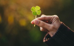 Xem ngay tháng may mắn năm 2026 theo thần số học của bạn