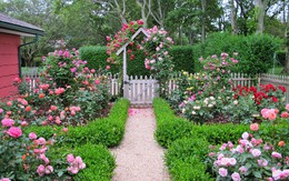 Gợi ý các mẫu trang trí tiểu cảnh sân vườn đón Tết