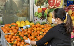 Tiết lộ của tiểu thương về nguồn gốc thực sự của loại quýt sim giá rẻ đang bán đầy thị trường