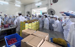 Tạm dừng sản xuất pate Cột Đèn và các chế phẩm từ thịt: Đồ hộp Hạ Long xử lý quyền lợi của người lao động ra sao?