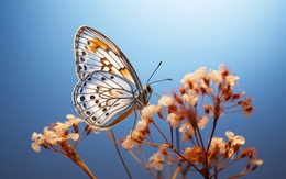 Tháng sinh Âm lịch tiết lộ số phận: Nửa đời đầu thử thách, nửa đời sau an nhiên